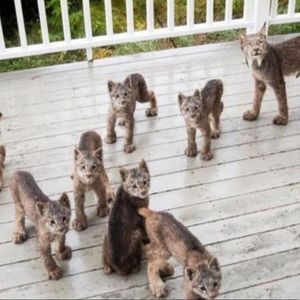 Meet your Posher, Leann